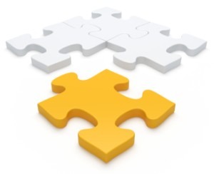 Program partnerski